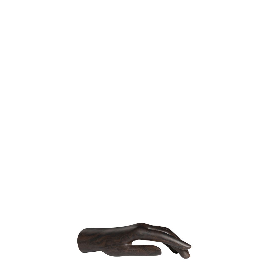 images/position/hand-l-display/HAND_R_DISPLAY_Y4.jpg