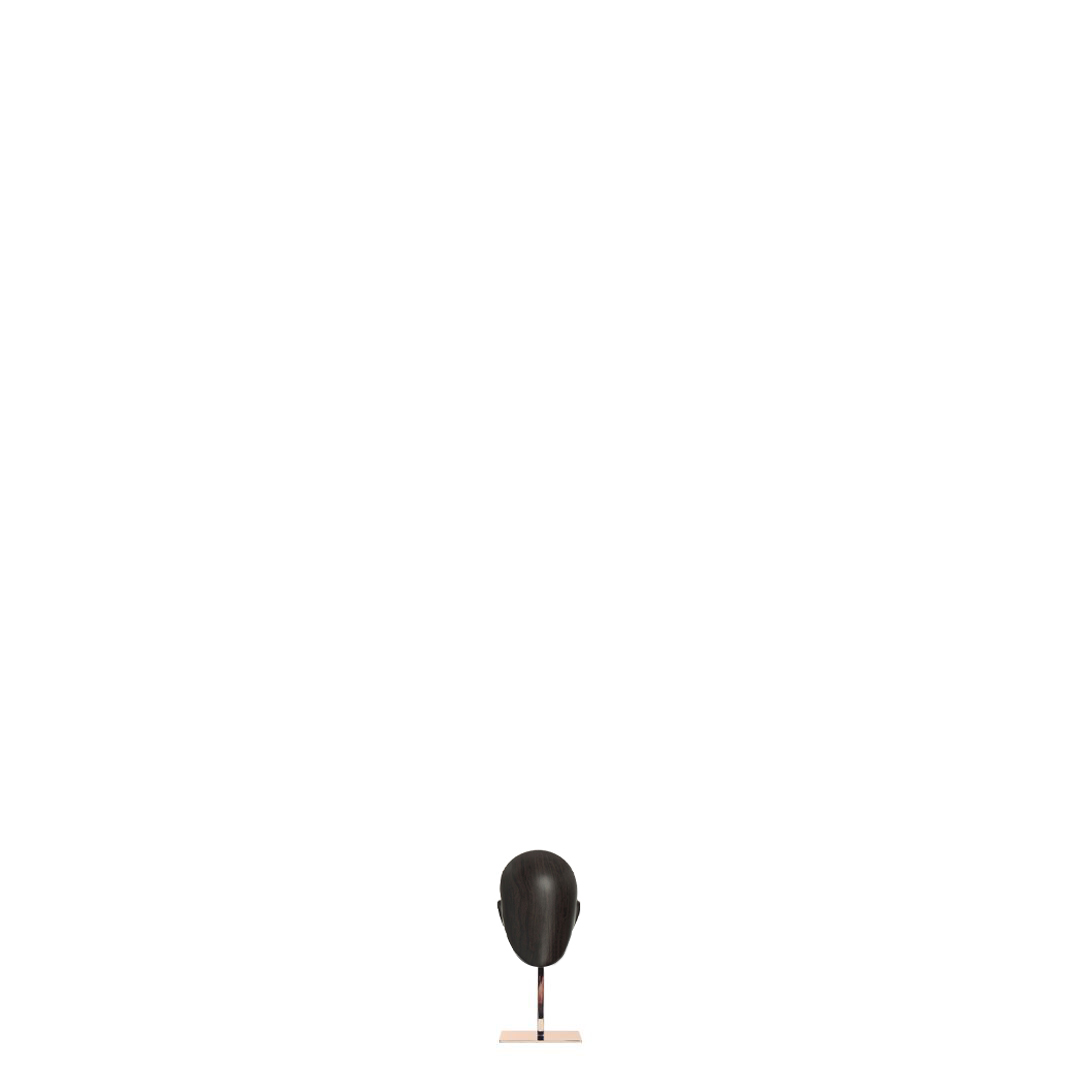 images/position/tcfl4-2/TCFL4_Y4_AU_egghead.jpg